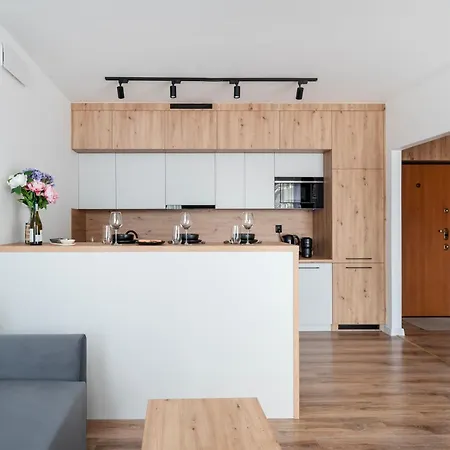 Rewolucji - 50m2, Working Desk, Balcony Apartment