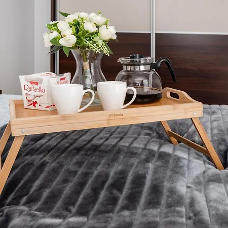Apartment Rewolucji - 50m2, Working Desk, Balcony Lodz (Lodz)
