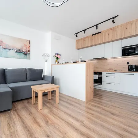 Rewolucji - 50m2, Working Desk, Balcony Lodz (Lodz)